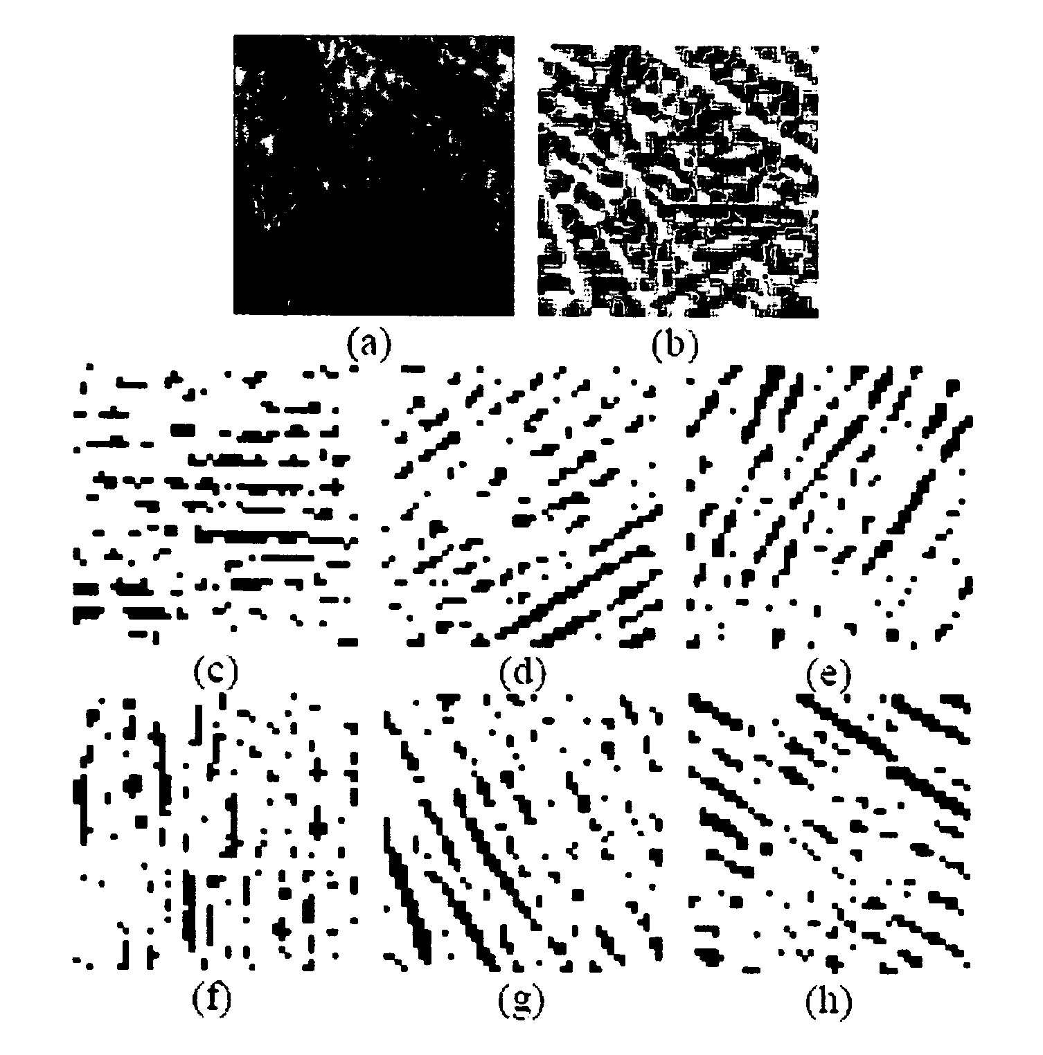 Palm print identification using palm line orientation