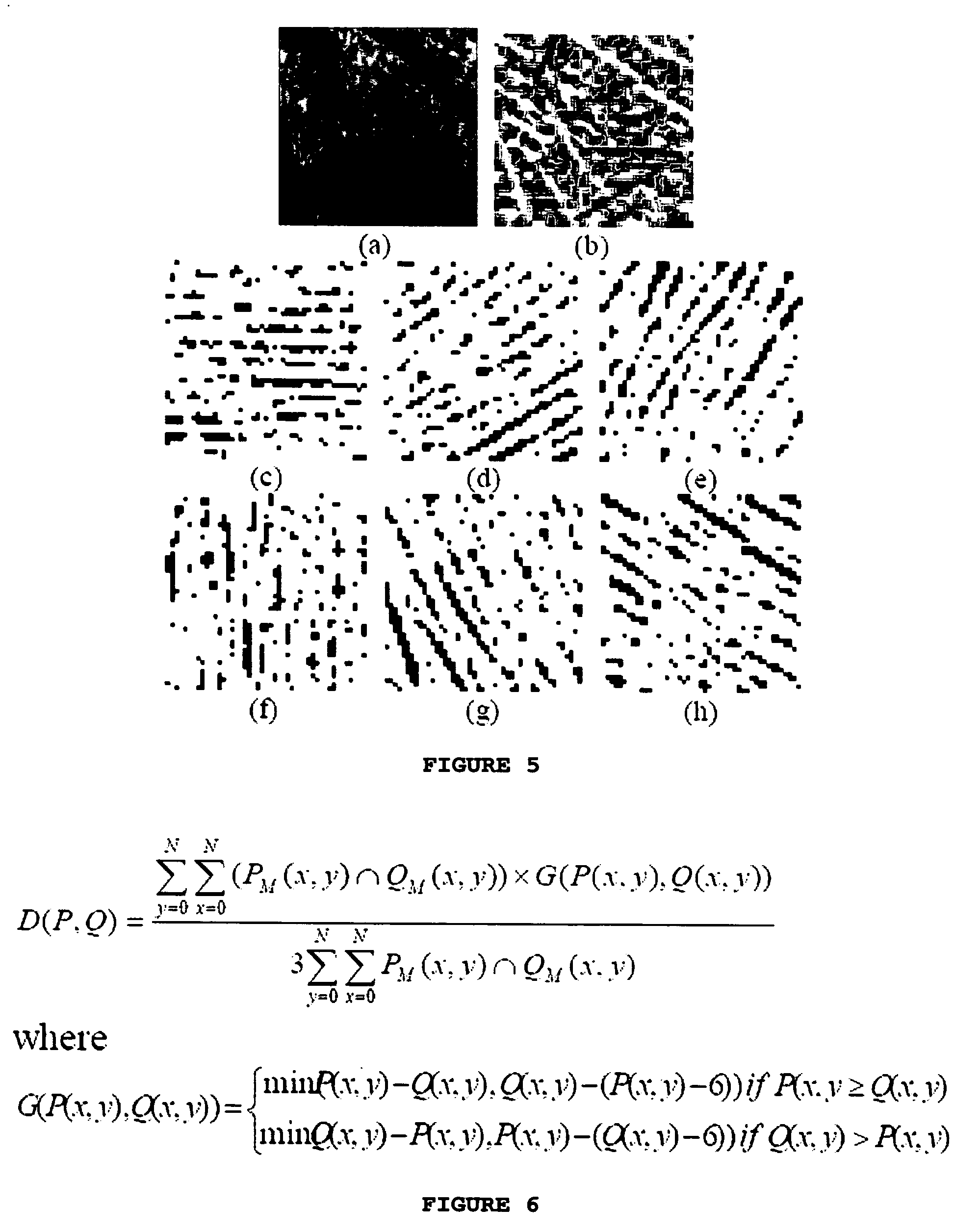 Palm print identification using palm line orientation