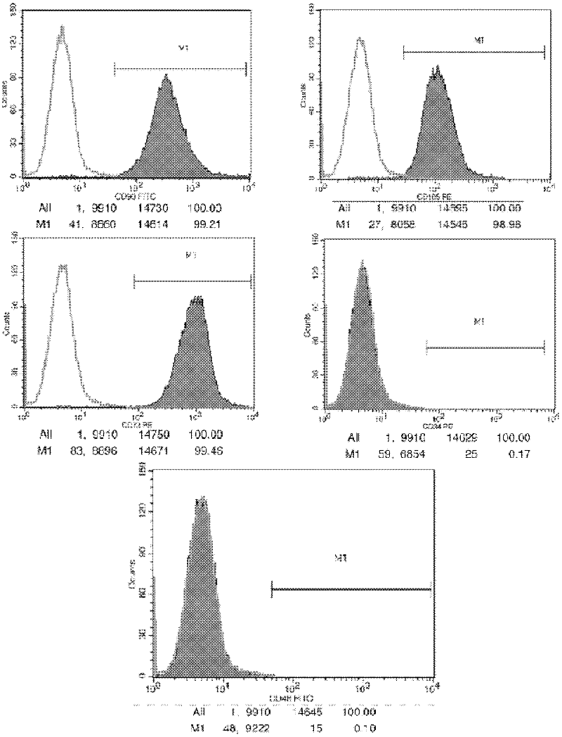 Mesenchymal stem cell preservation liquid, and preparation method and application thereof