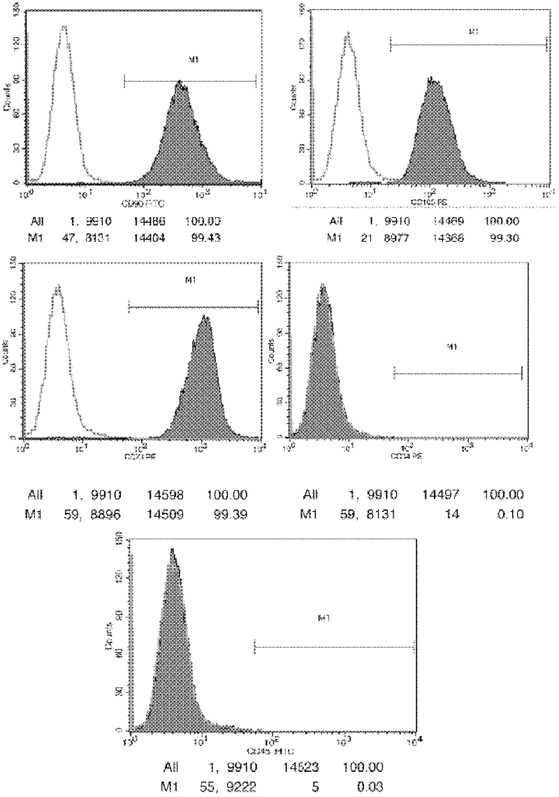 Mesenchymal stem cell preservation liquid, and preparation method and application thereof