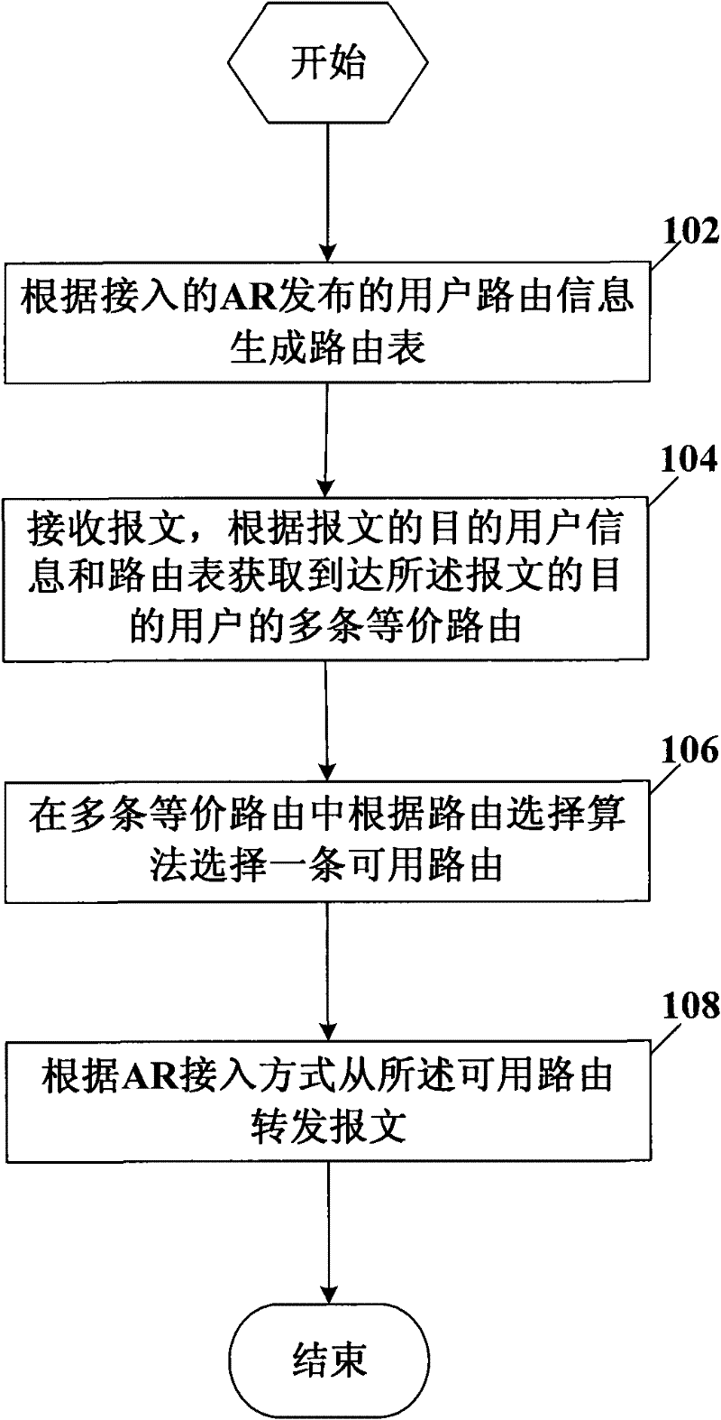 User access method, apparatus and system