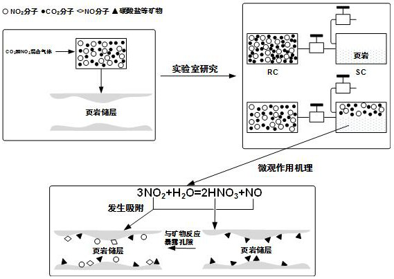 Method for enhancing shale carbon dioxide adsorption performance and cooperatively storing nitrogen dioxide