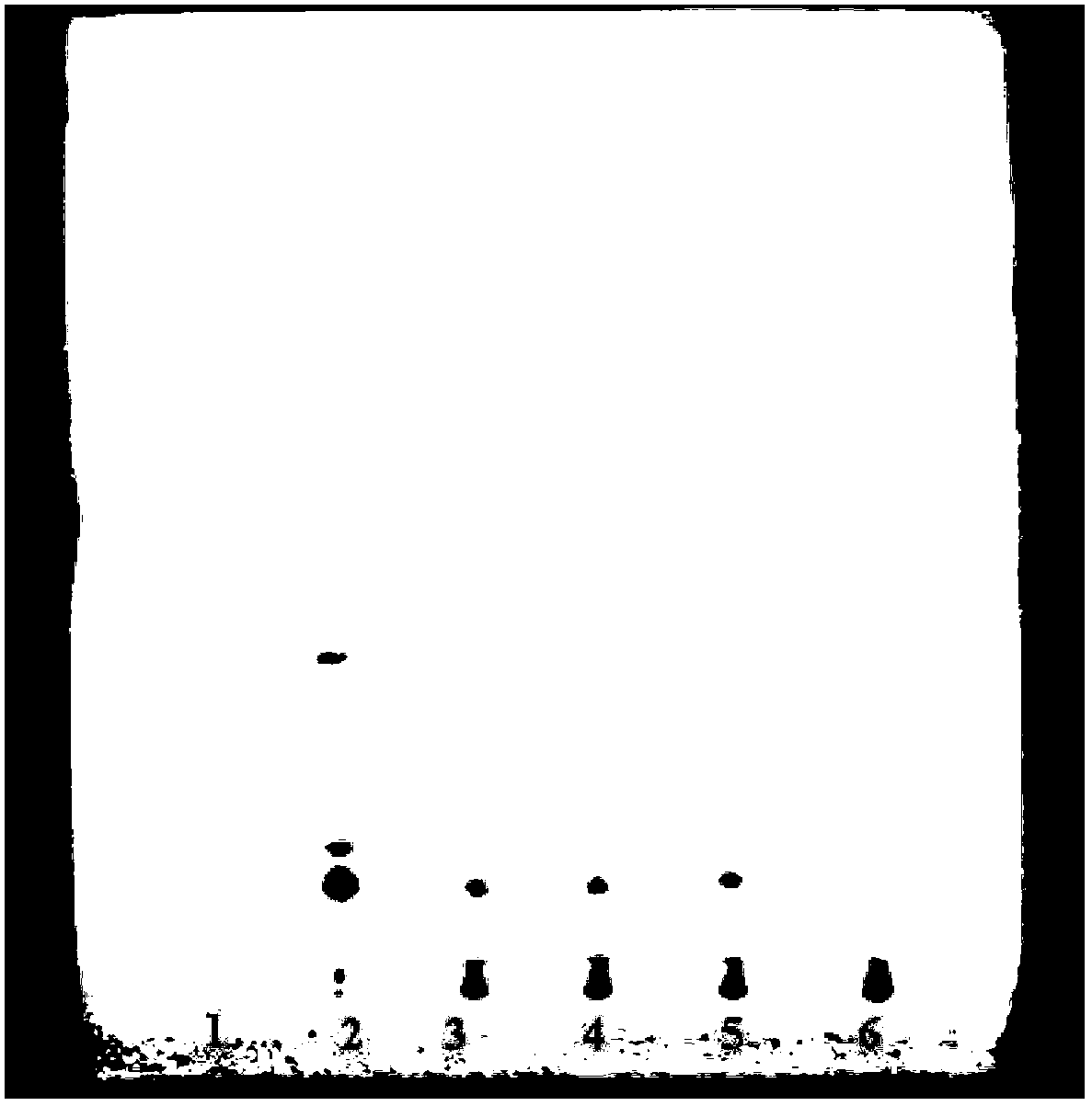 Oldenlandia liver-tonifying and toxicity-eliminating particles and preparation method thereof, as well as detection method