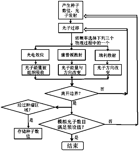 A two-step Monte Carlo simulation method for radiation dose calculation