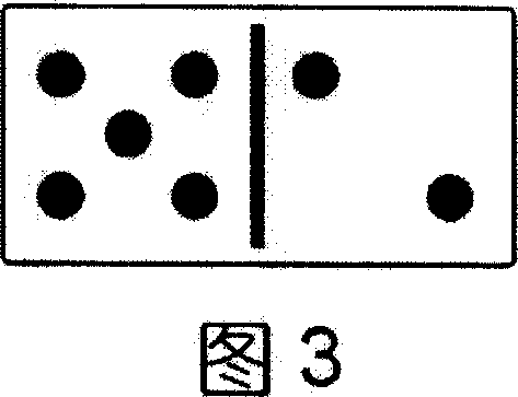 New-type domino