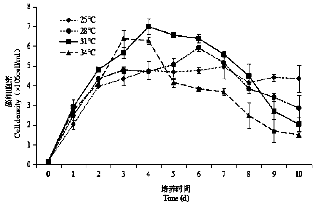 Chaetoceros muelleri culture medium composition and culture method, and photobioreactor