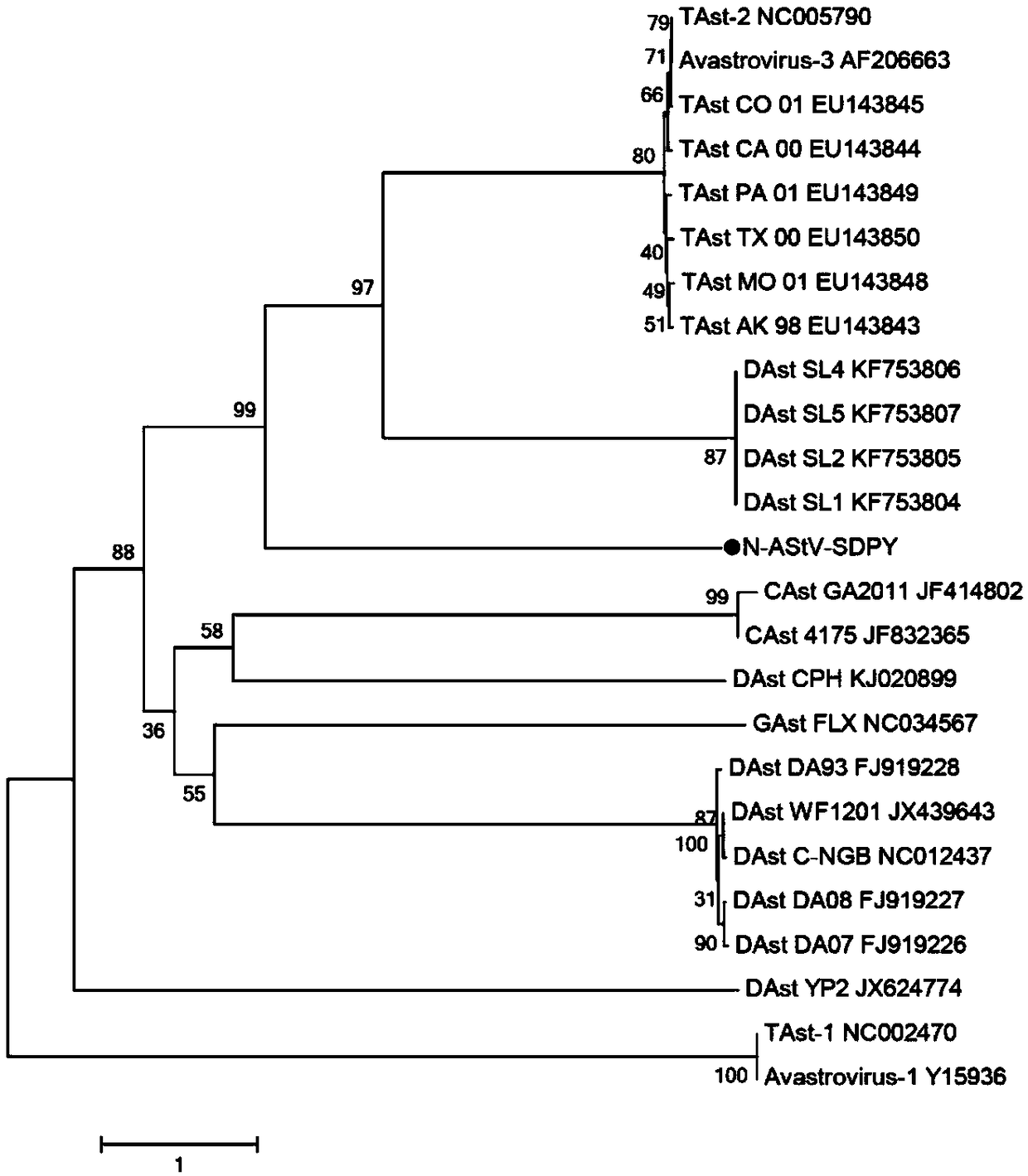 Novel goose astrovirus resulting gosling gout and application of novel goose astrovirus