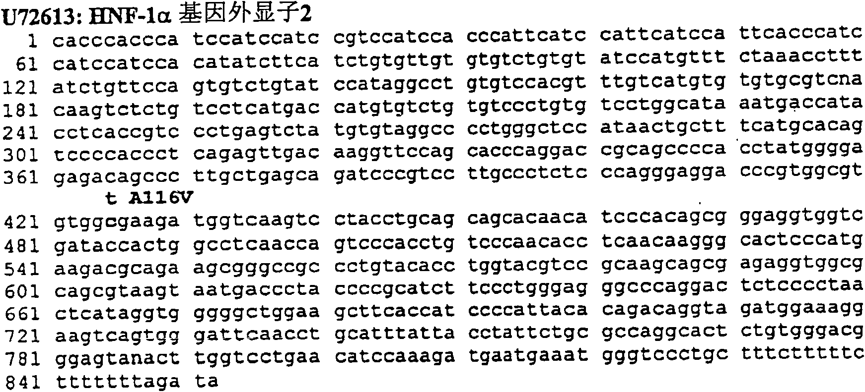 Method for estimating danger of diabetes typ B developed in the human species of Chinese bloodline and composition