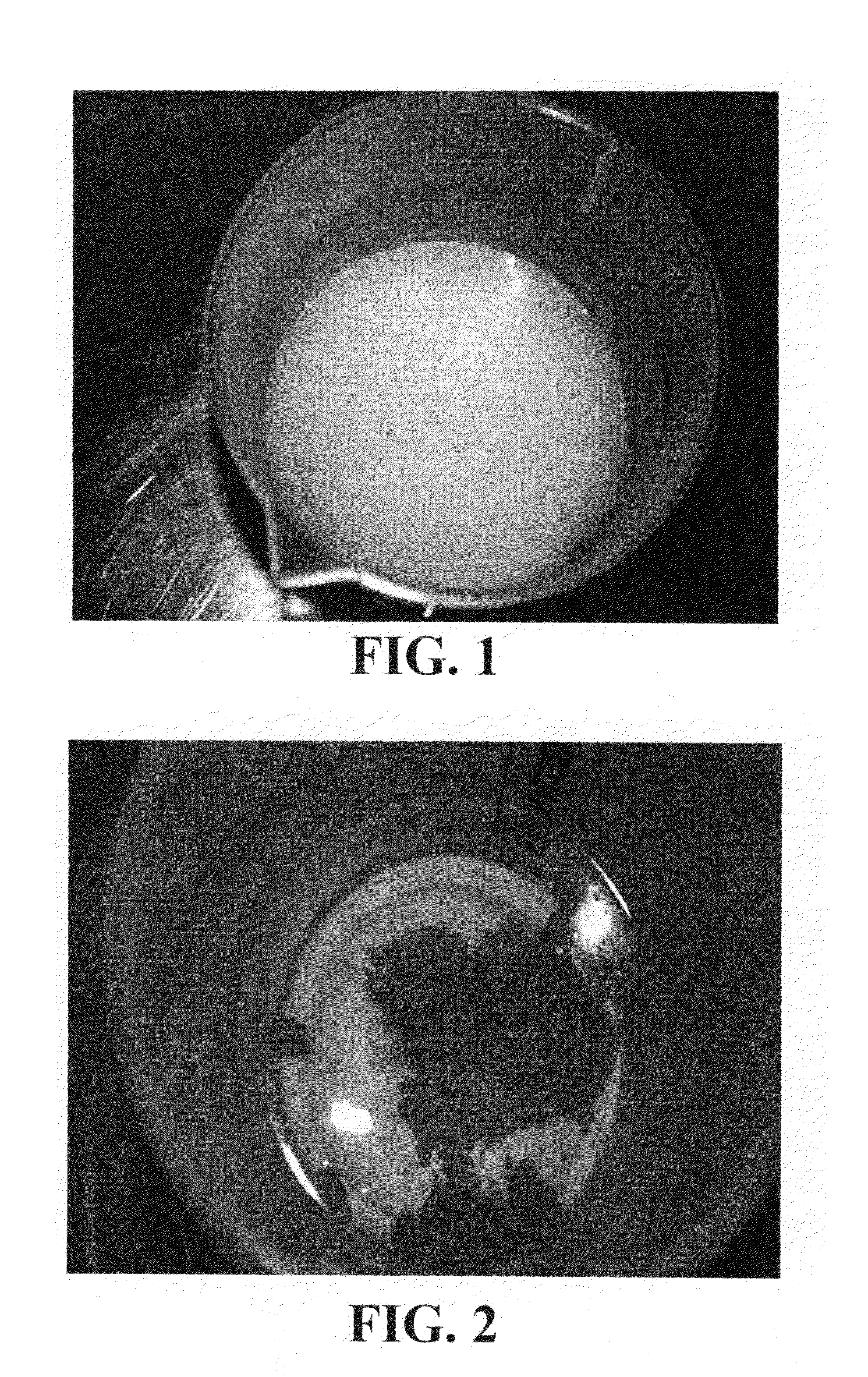 Sand aggregating reagents, modified sands, and methods for making and using same
