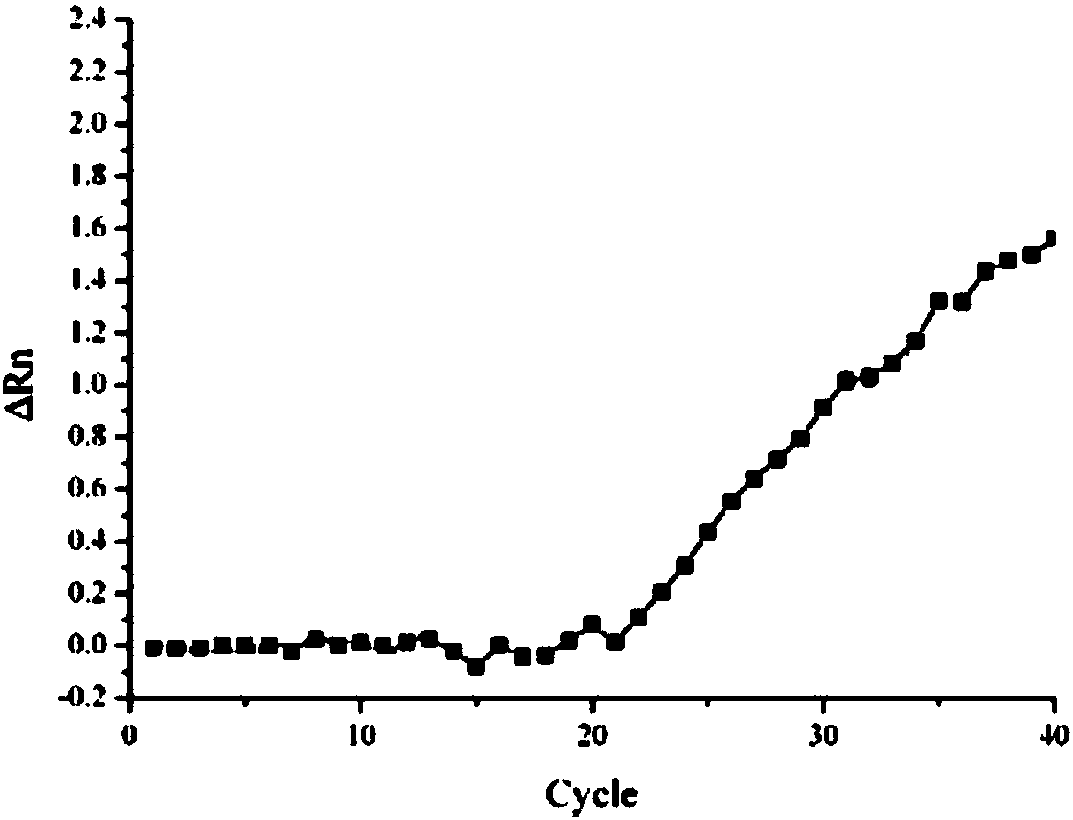 Human astrovirus type 1 nucleic acid detection standard substance and preparation method and application thereof