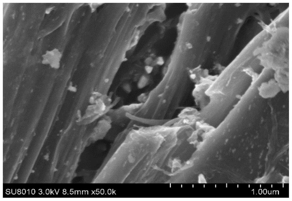 Preparation method and application of biomass-based carbon nanosheet/epoxy composite coating