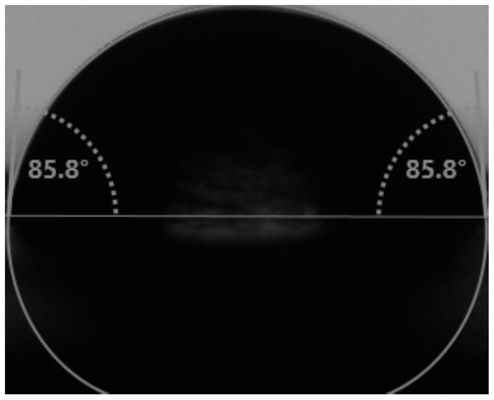 Preparation method and application of biomass-based carbon nanosheet/epoxy composite coating