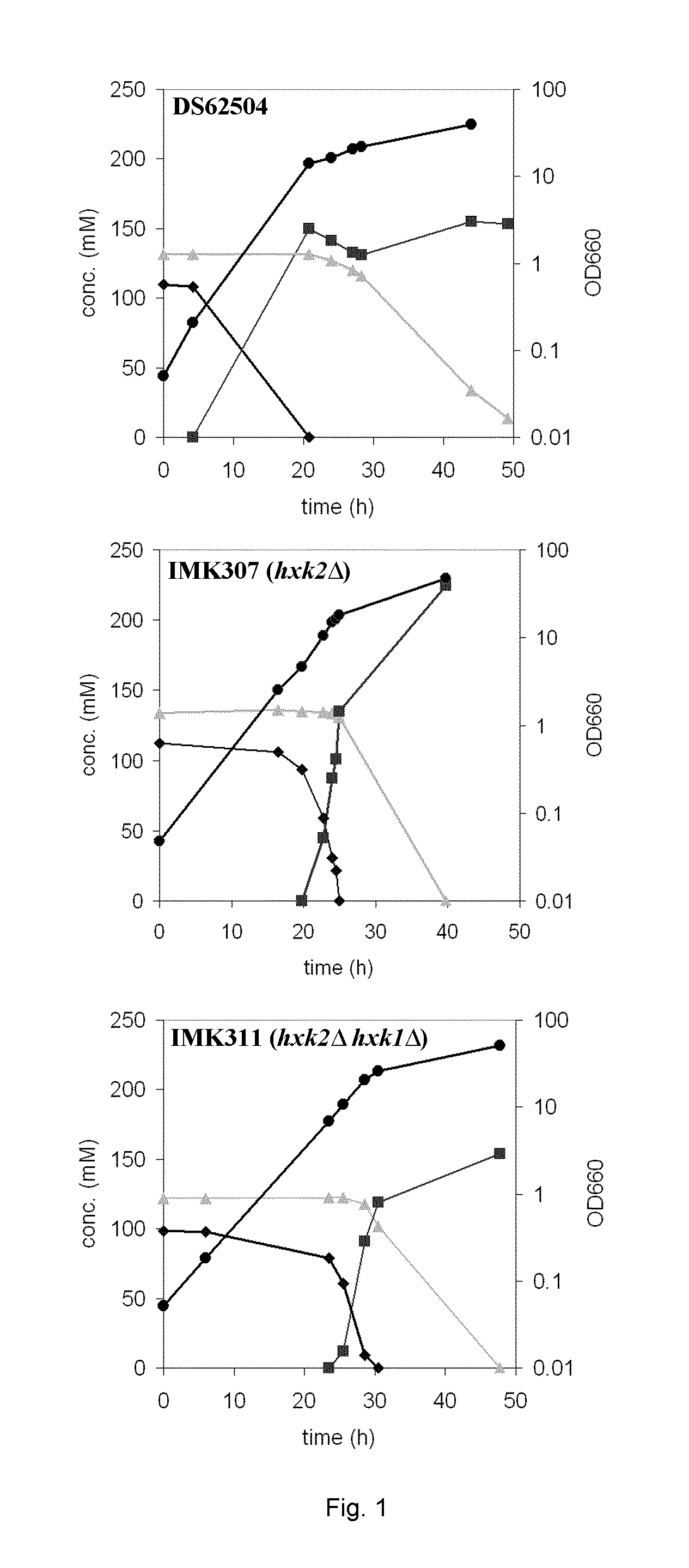 Pentose and glucose fermenting yeast cell