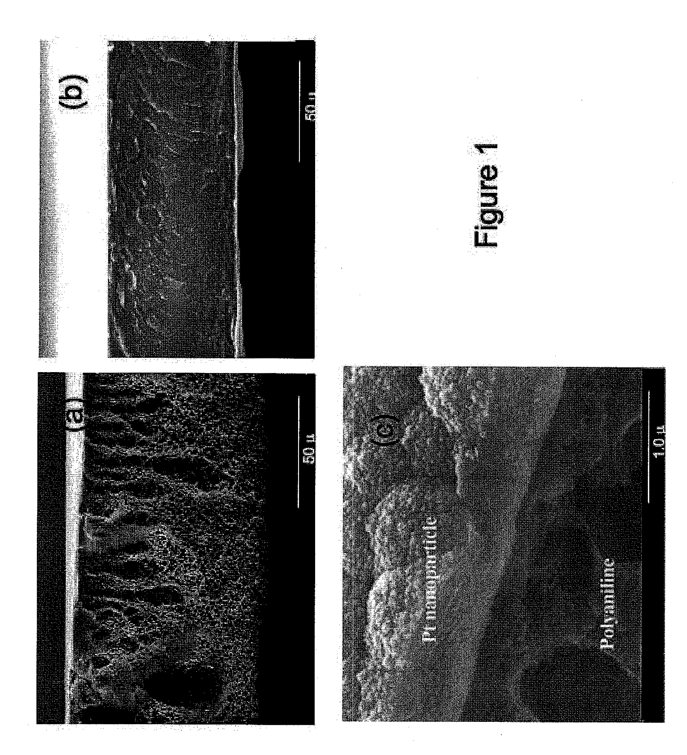 Nanostructured metal-polyaniline composites and applications thereof