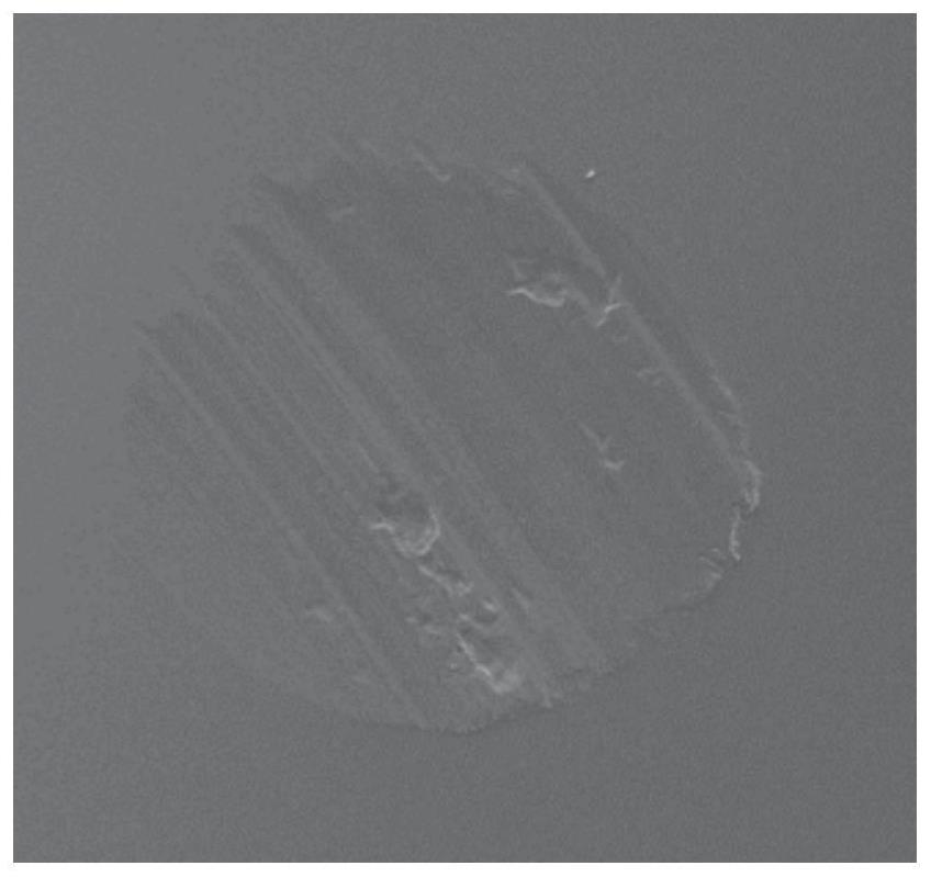 Abrasion rapid detection device and method based on abrasive particle image automatic acquisition and analysis