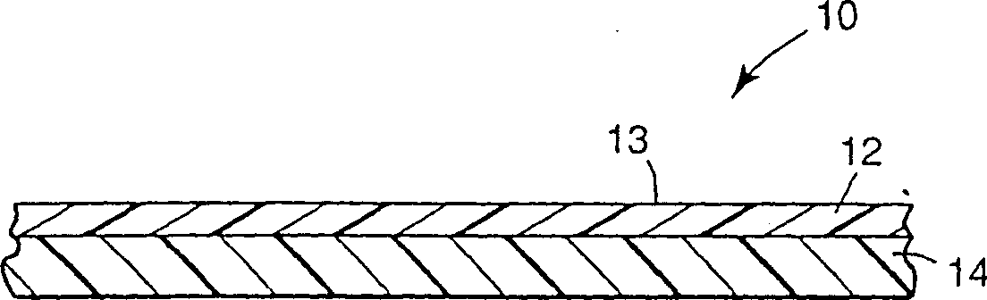 Image receptor medium containing ethylene vinyl acetate carbon monoxide terpolymer