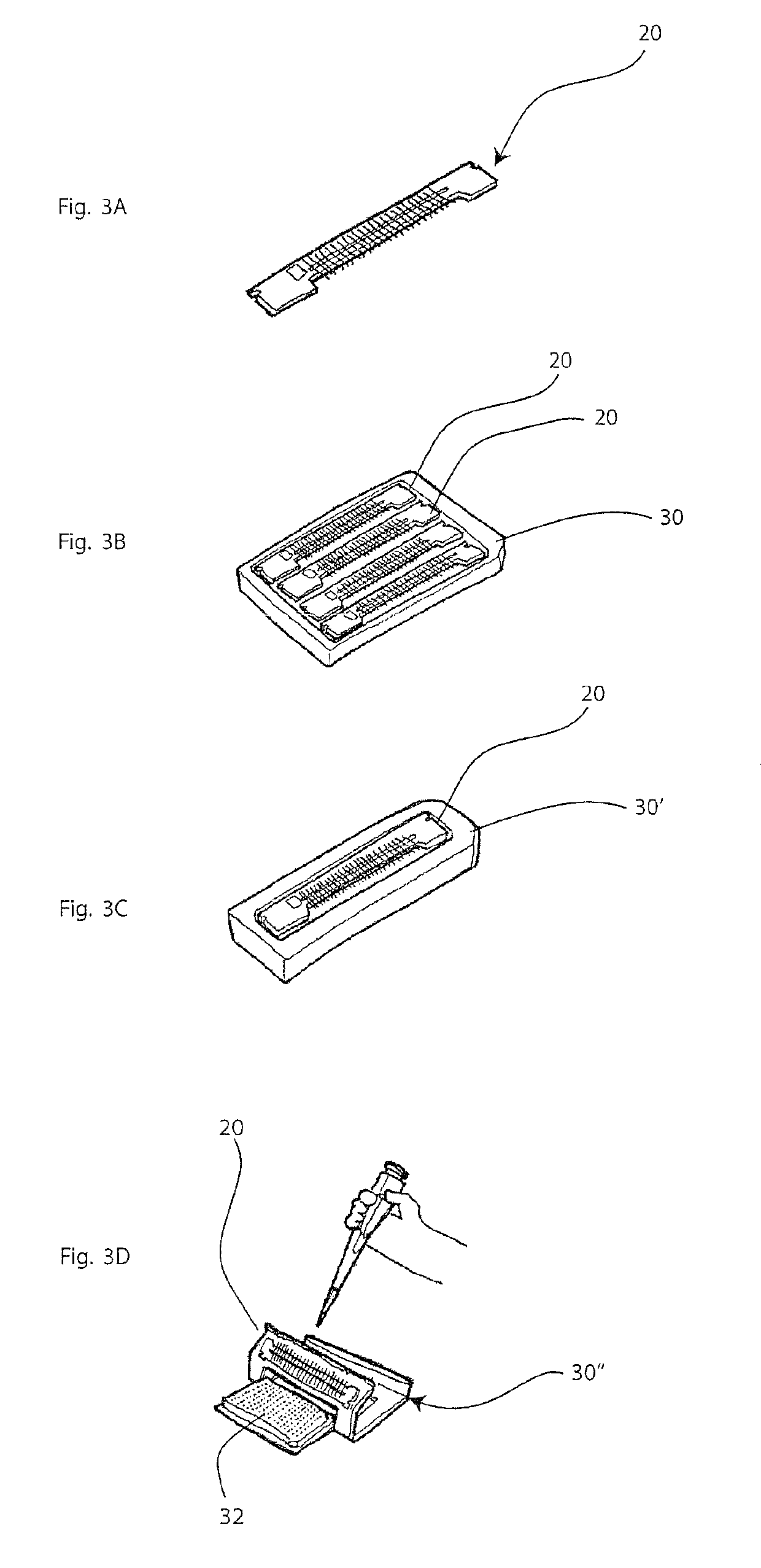 Capillary array