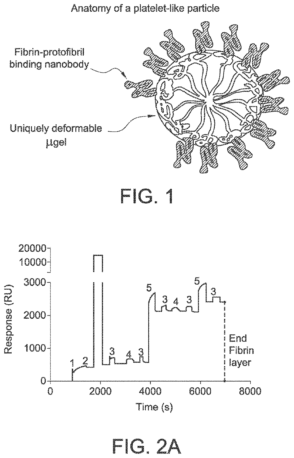 Functionalized microgels with fibrin binding elements