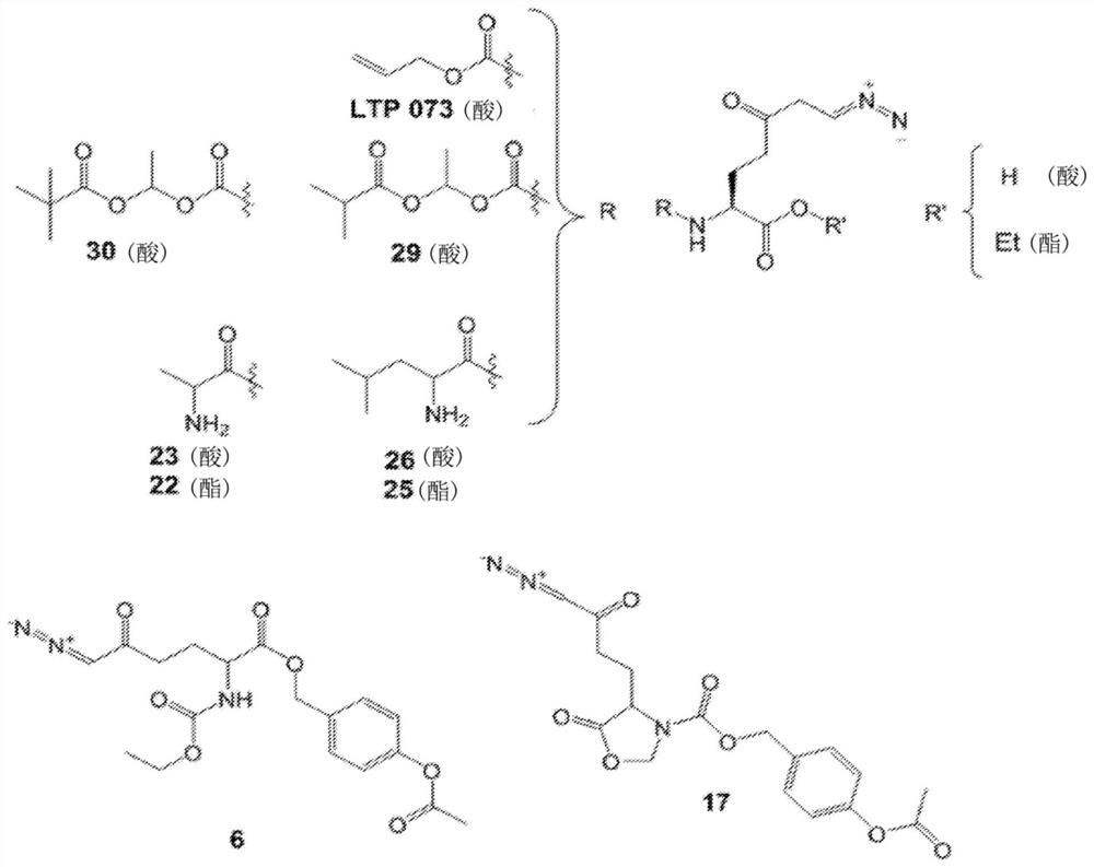 Prodrugs of Glutamine Analogs