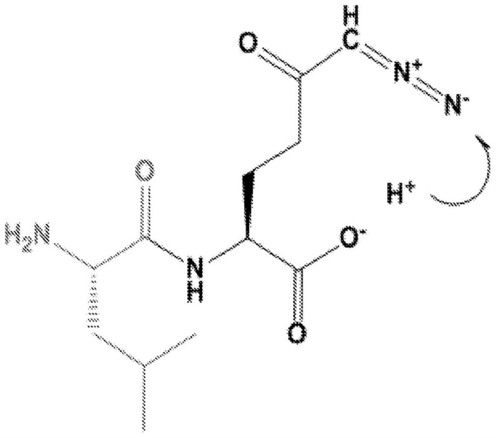 Prodrugs of Glutamine Analogs