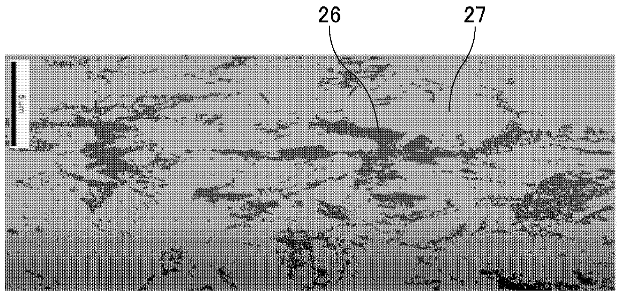 Storage device electrode, storage device and manufacturing method of storage device electrode