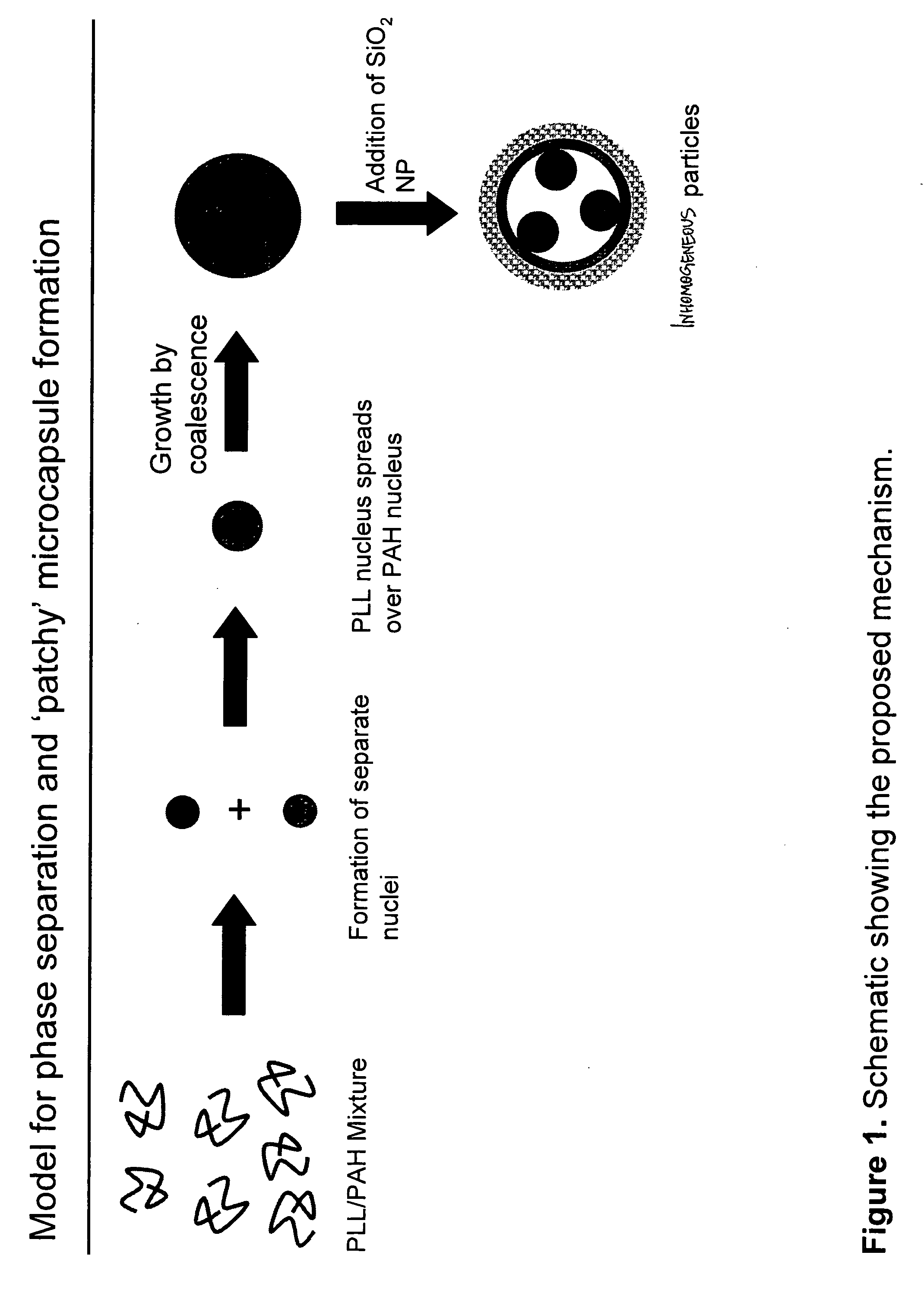 Method to fabricate inhomogeneous particles