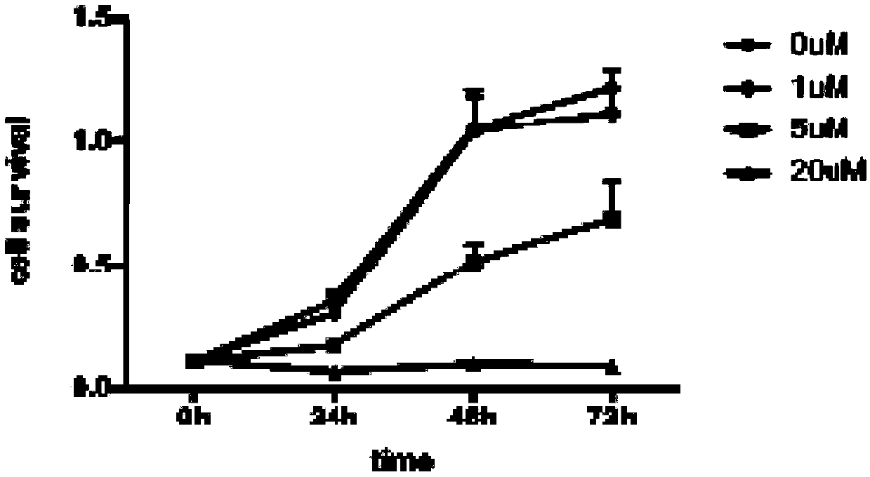 Anti-tumor compound aiming at Fyn-CD147 signal pathway target point, and preparation method and application of anti-tumor compound