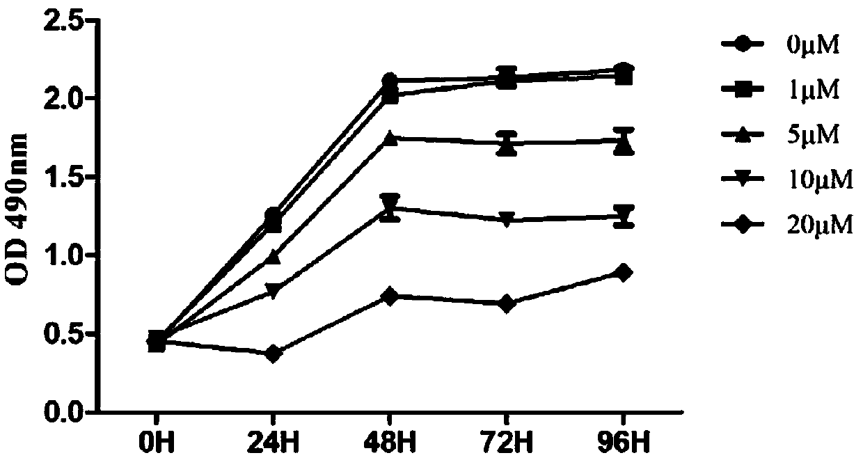 Anti-tumor compound aiming at Fyn-CD147 signal pathway target point, and preparation method and application of anti-tumor compound