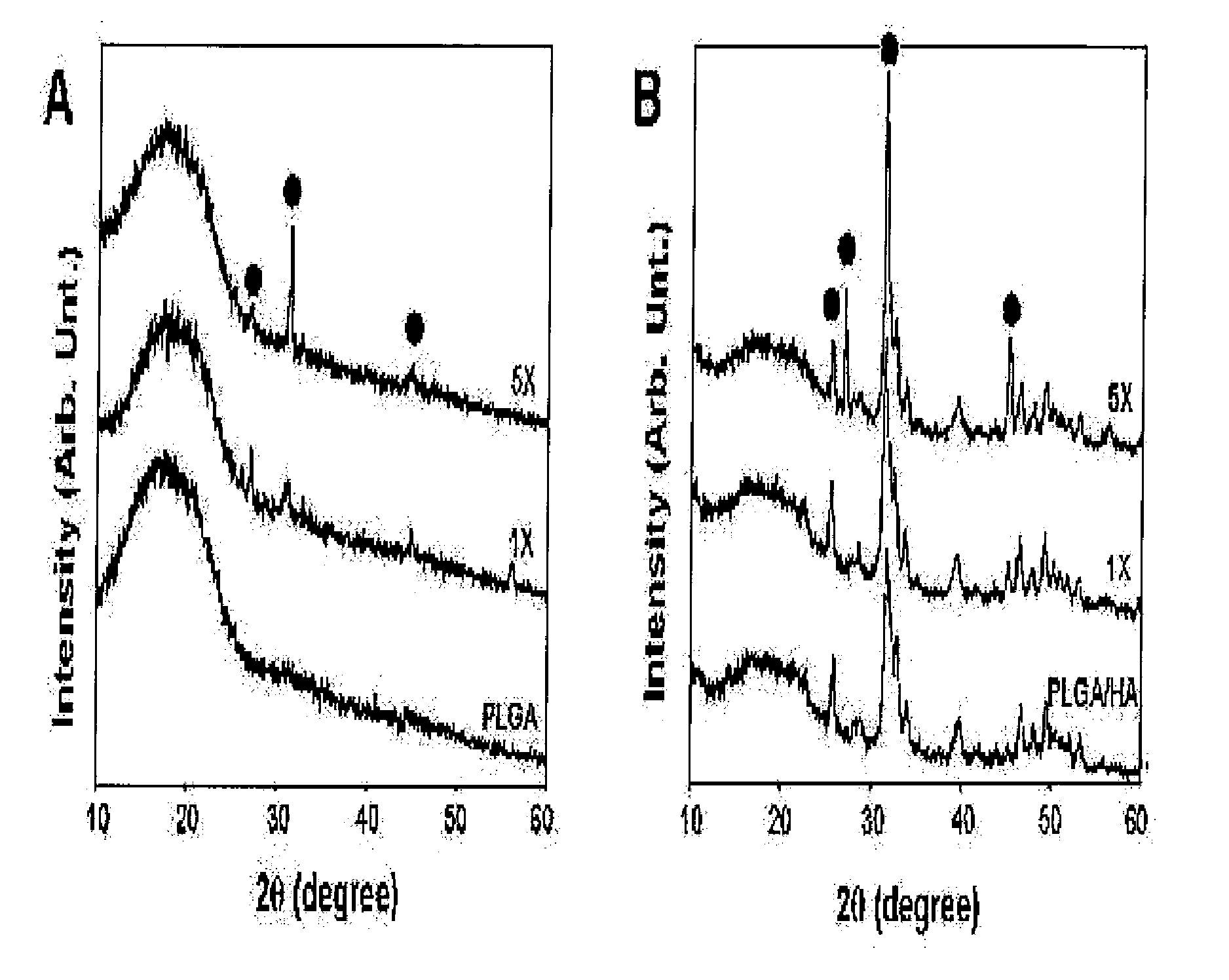 PLGA/Hydroxyapatite Composite Biomaterial and Method of Making the Same