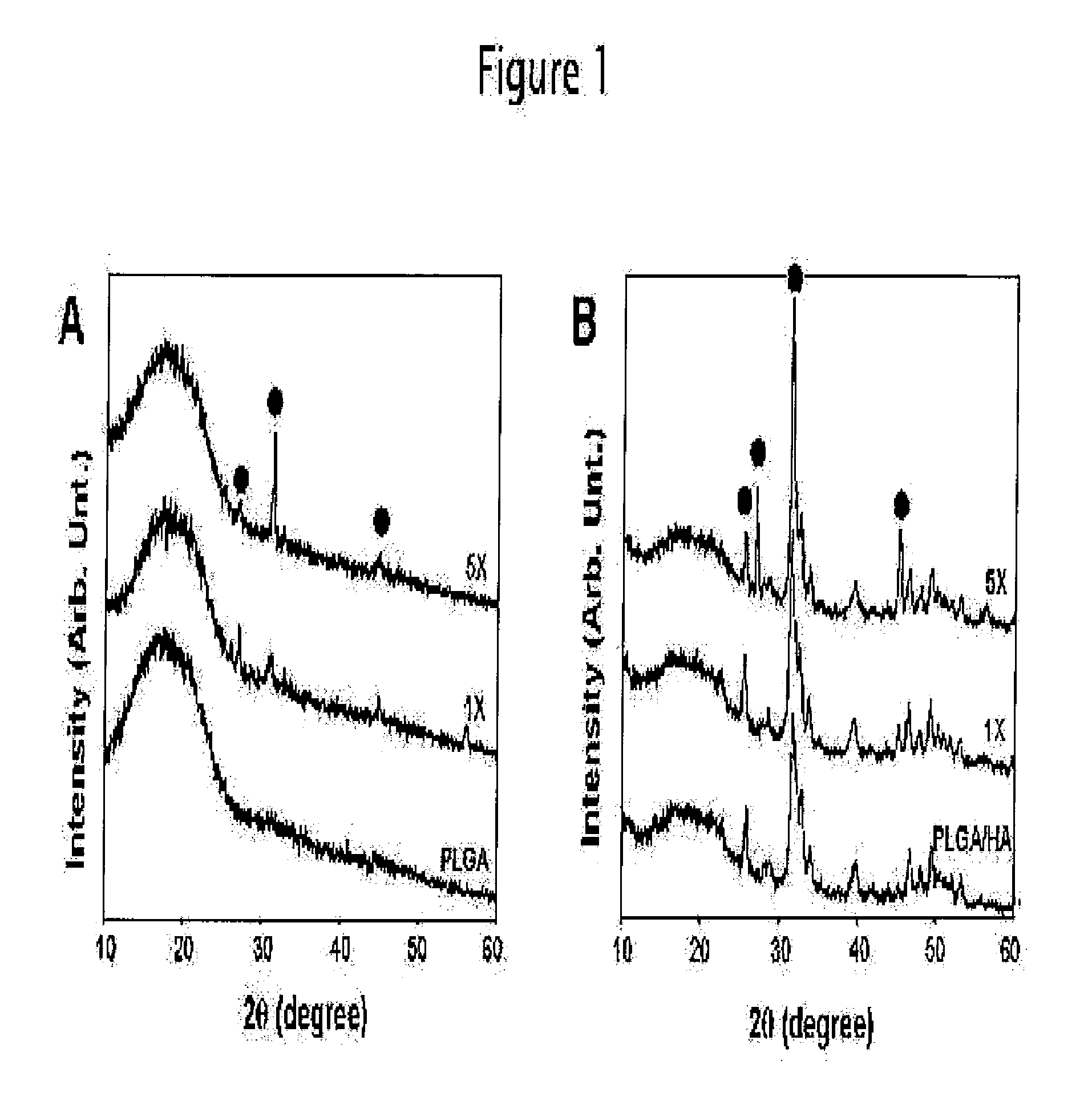 PLGA/Hydroxyapatite Composite Biomaterial and Method of Making the Same