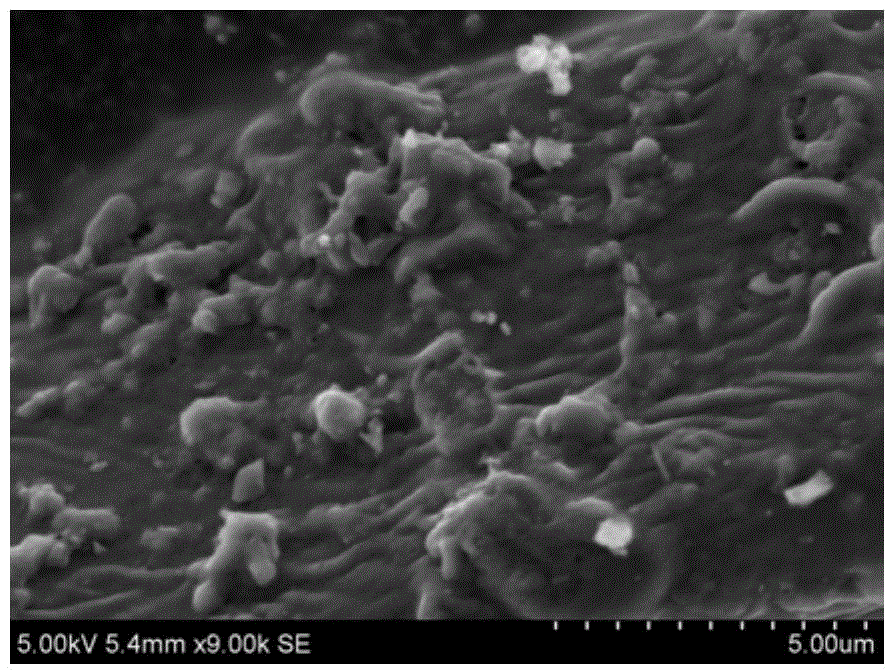 Antibacterial activated carbon composite material and preparation method thereof