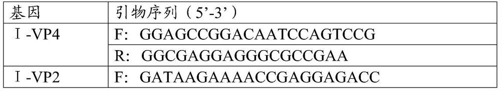 Foot-and-mouth disease virus-like particle, preparation method, vaccine composition and application