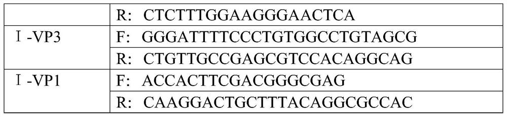 Foot-and-mouth disease virus-like particle, preparation method, vaccine composition and application