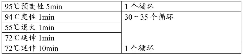 Foot-and-mouth disease virus-like particle, preparation method, vaccine composition and application