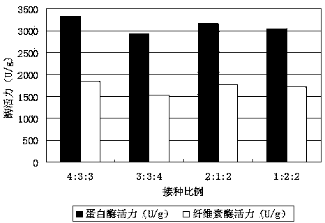 Method for producing high-quality biological feed from multiple bacteria through composite production