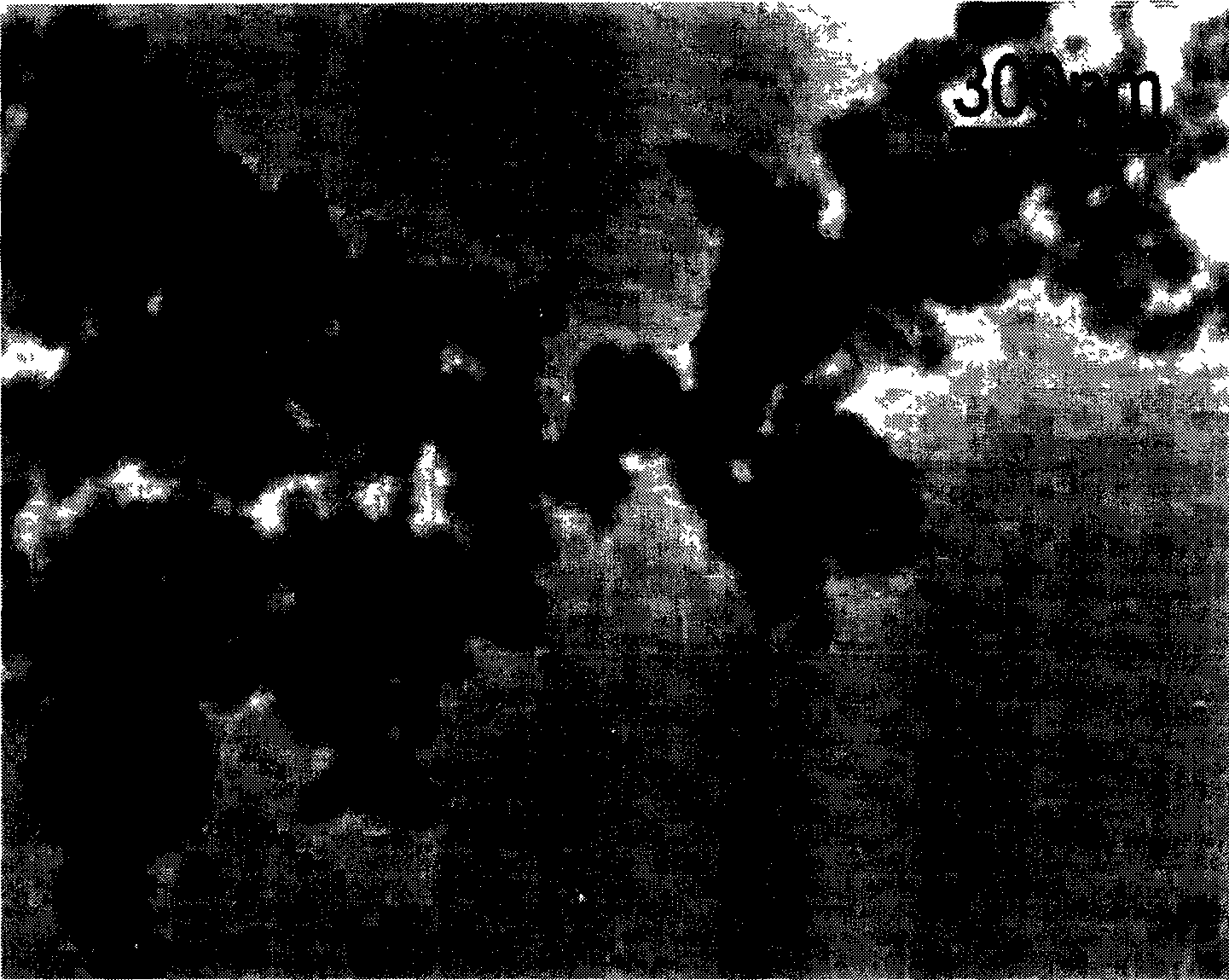 Process for preparing nano-particle modified epoxy resin