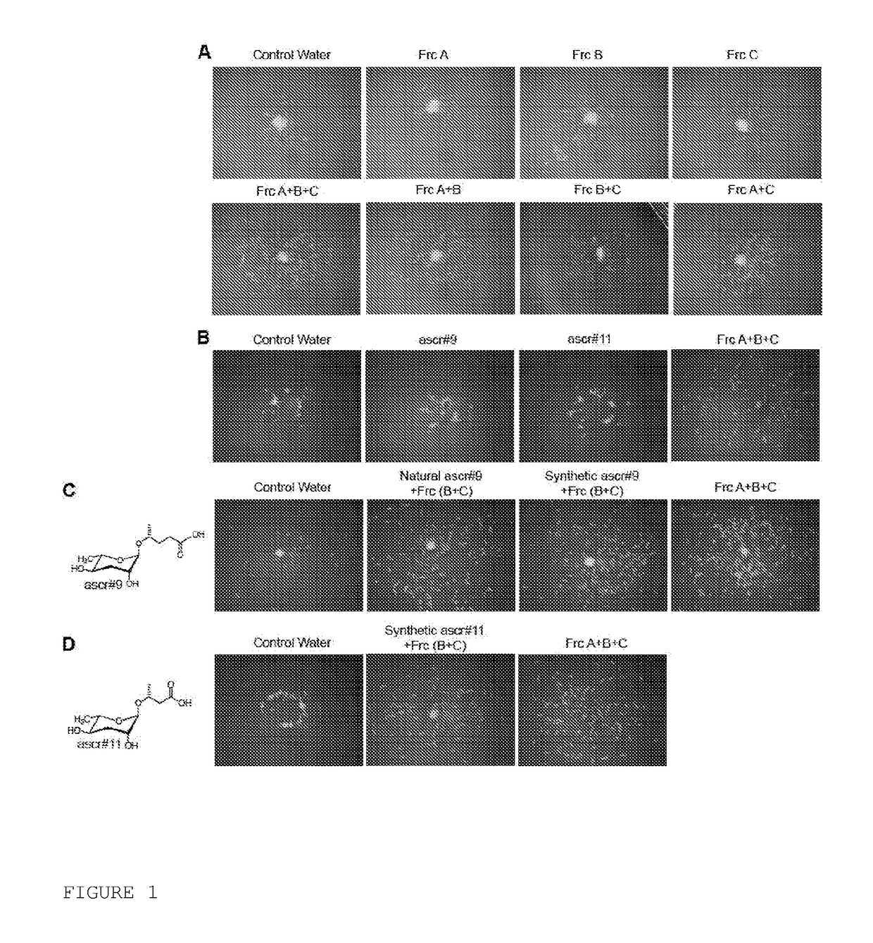 Nematode dispersant composition and method