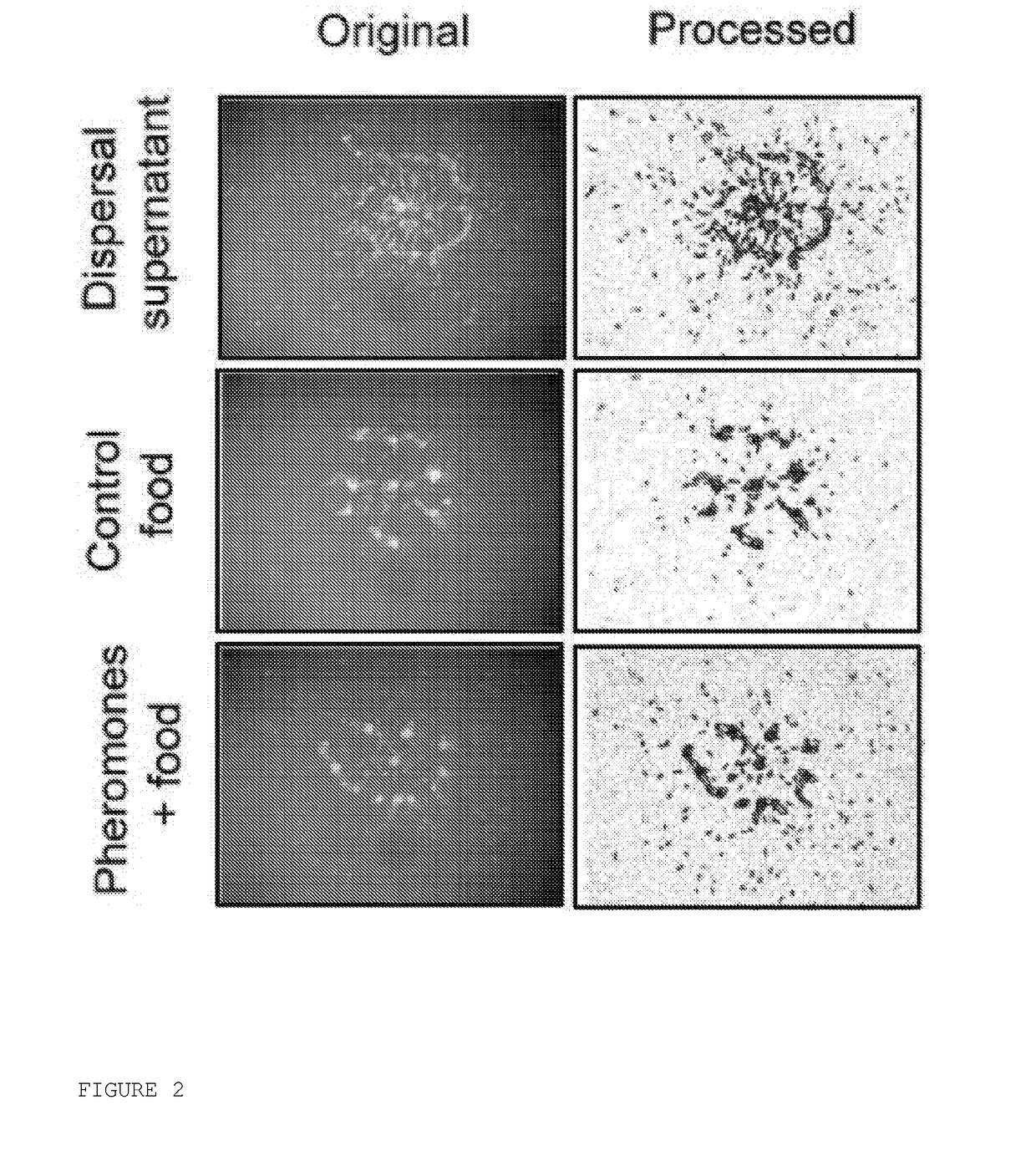 Nematode dispersant composition and method