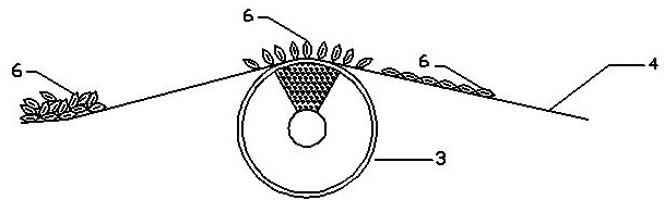 A magnetic field orientation method, device and product for tape casting of magnetic materials