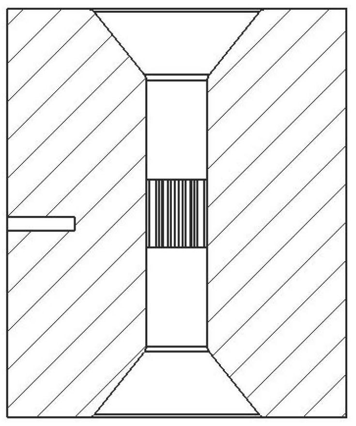 Microplastic Forming Method of Titanium Alloy Microgear