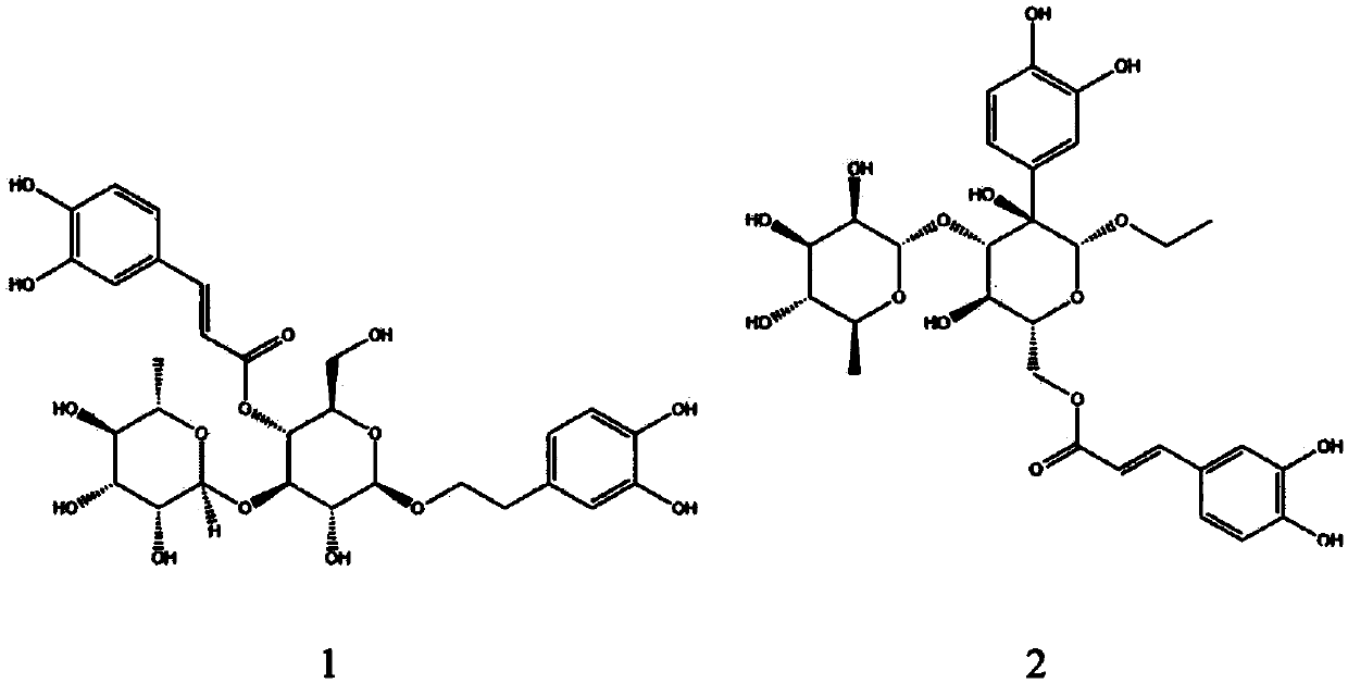 Application of two phenylethanoid glycosides in preparation of anti-diabetic drugs