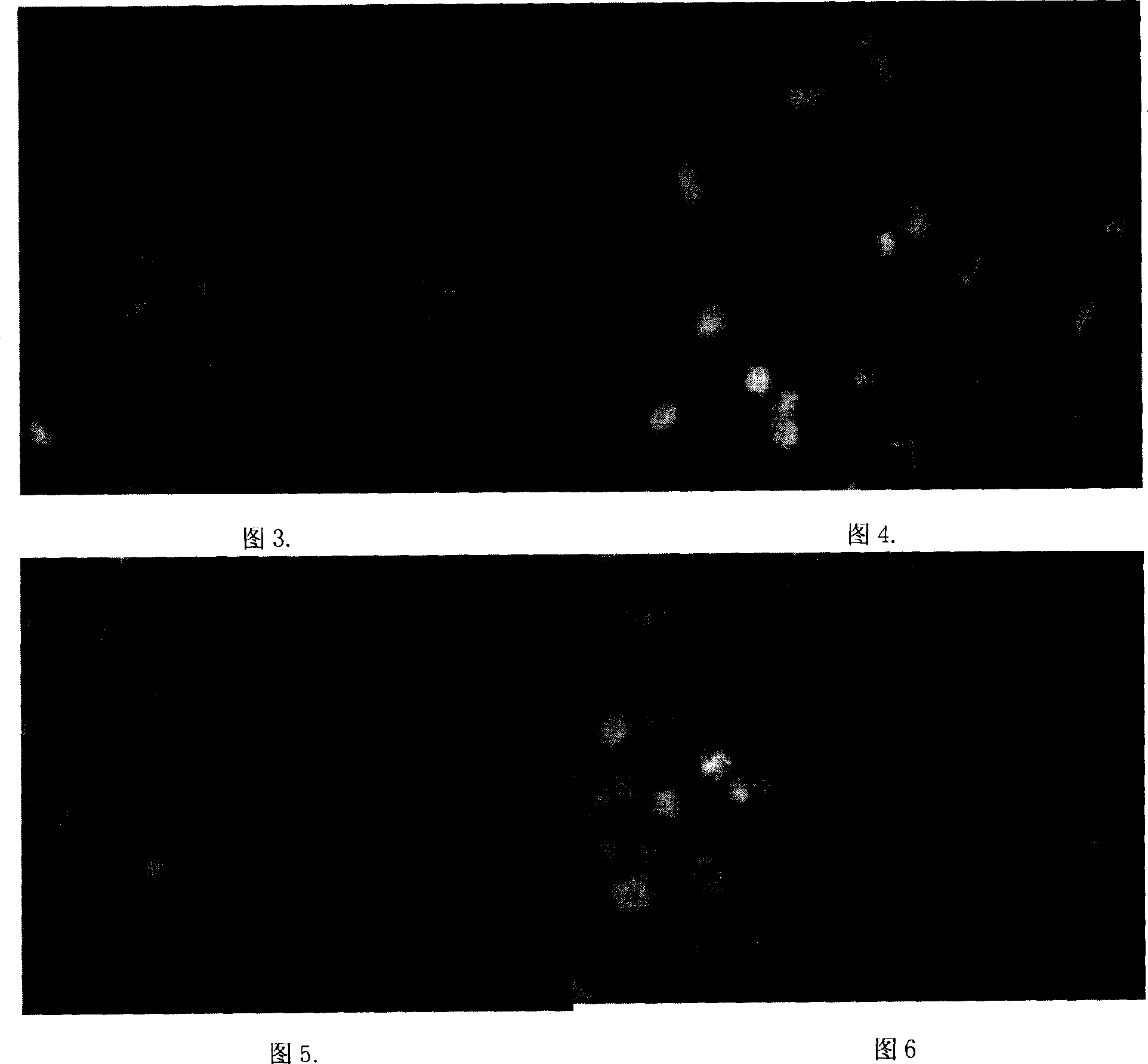 Antineoplastic effect of a group of cycloart-one triterpene compound