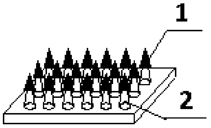 A two-stage microneedle array and its preparation method