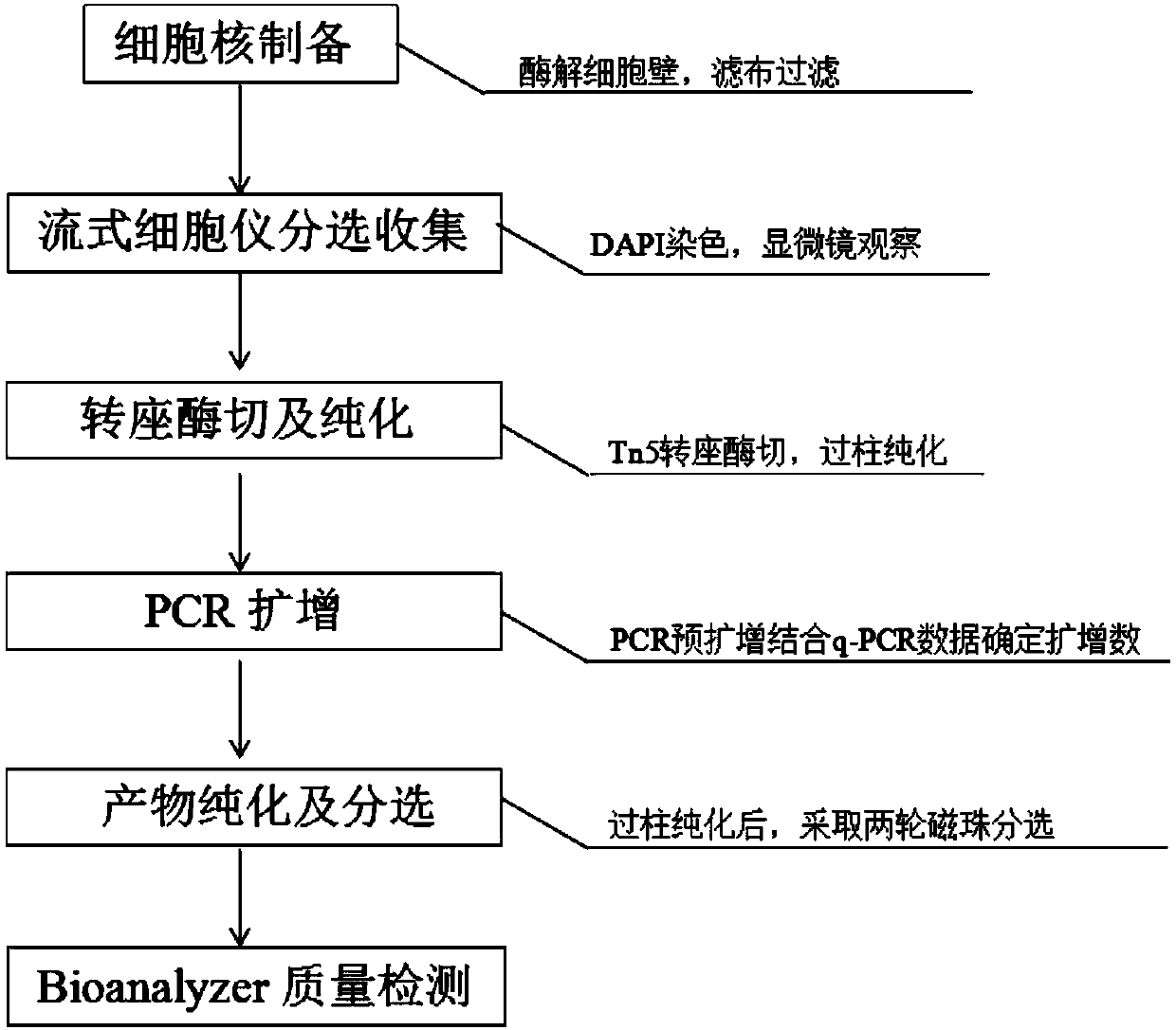 Database establishing method suitable for plant transposase accessible chromatin analysis