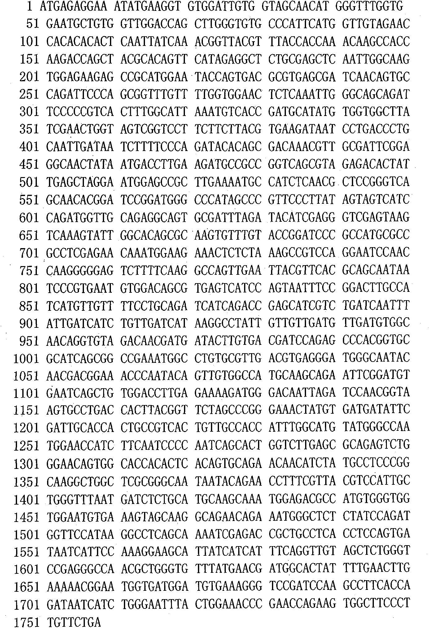 Novel cinnamomum hupehanum ribosome inactivated protein gene CcRIPII