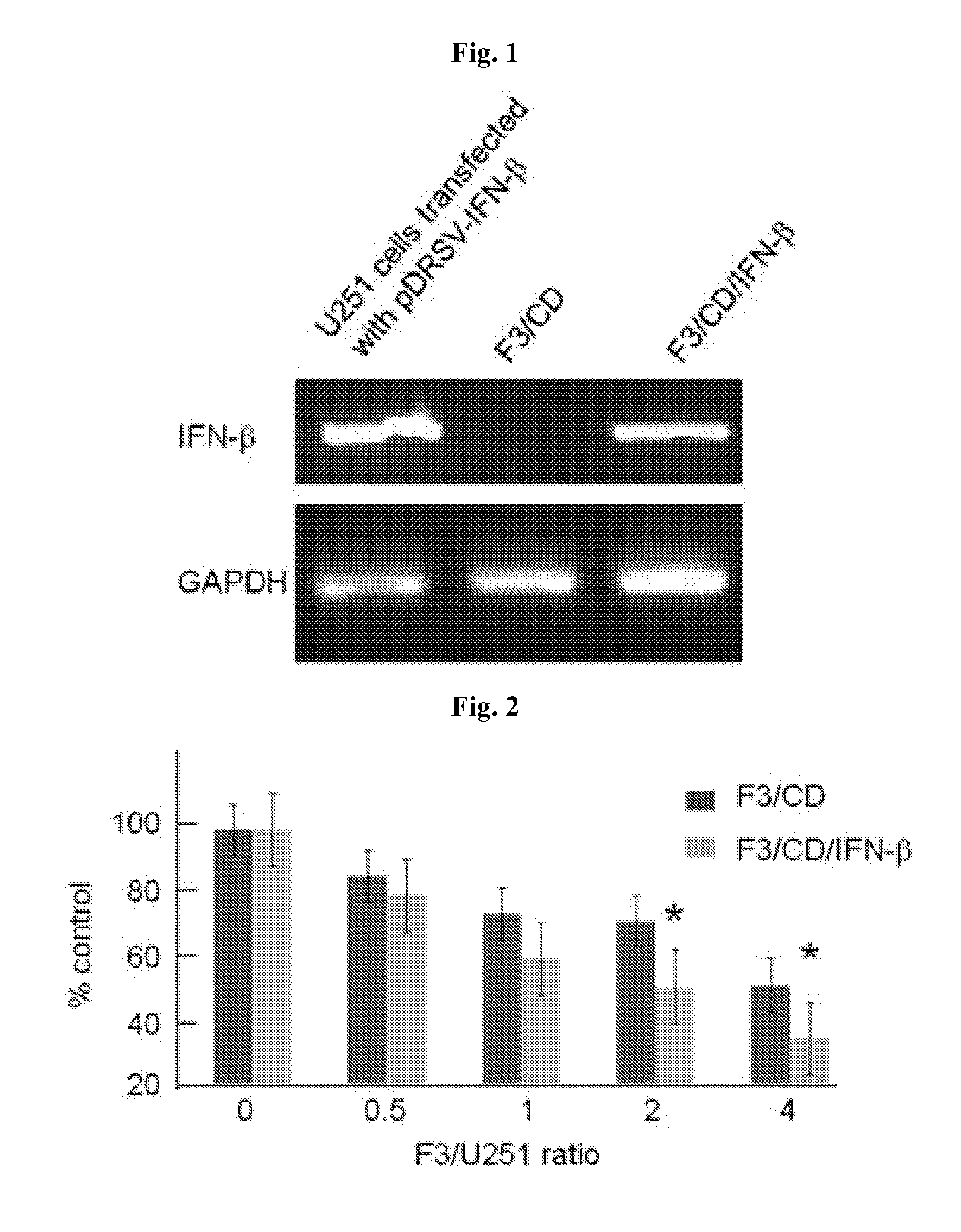 Neural stem cell composition capable of treating cancer and method of treatment