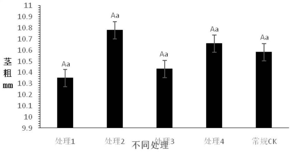 Verticillium wilt preventing and treating method for promoting growth and development of eggplants