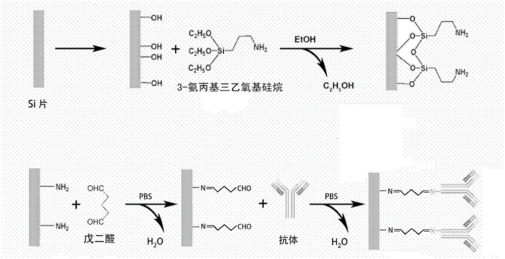 Portable sensing system and its functional modification method for early diagnosis of liver cancer