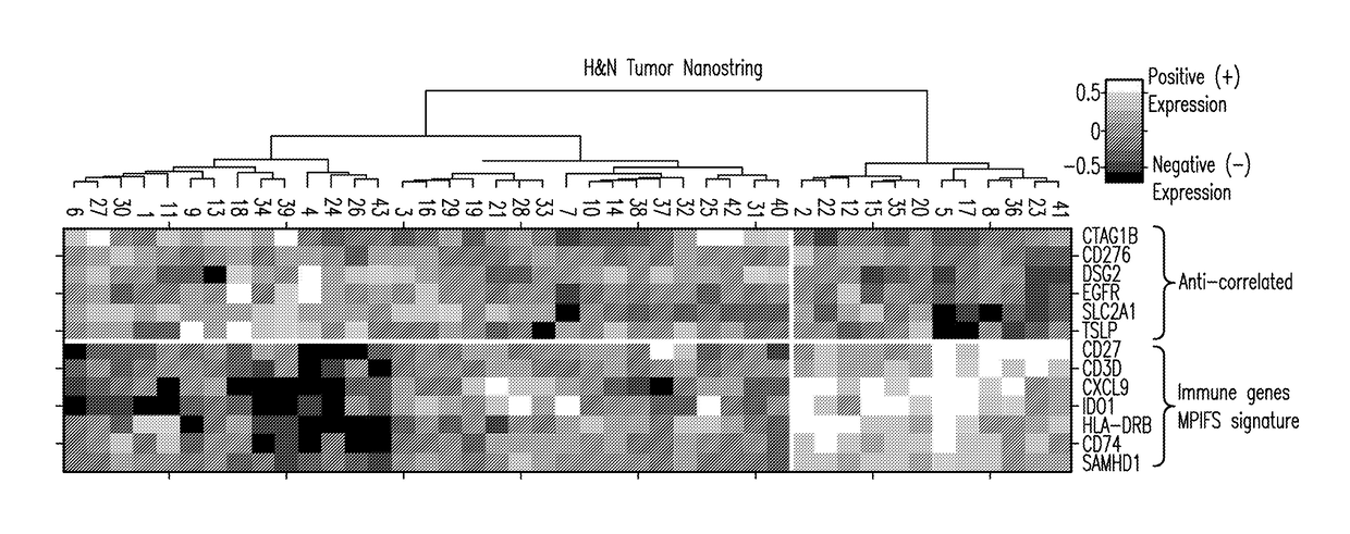 System and methods for deriving gene signature biomarkers of response to pd-1 antagonists