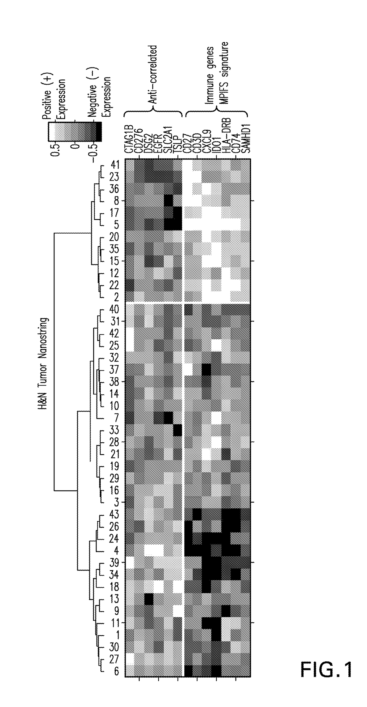 System and methods for deriving gene signature biomarkers of response to pd-1 antagonists